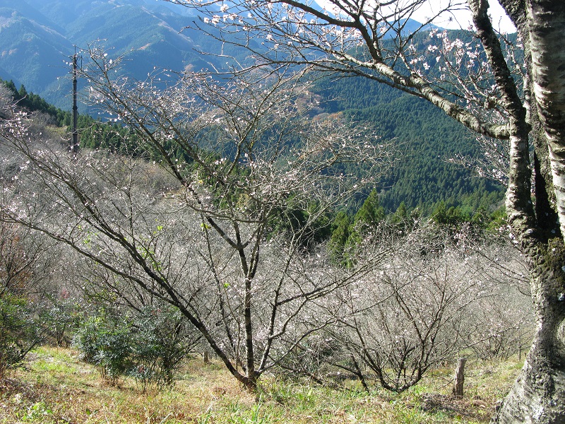d0333943_15555657.jpg
