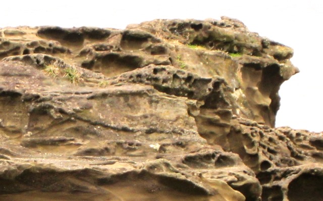 b0289649_2012390.jpg