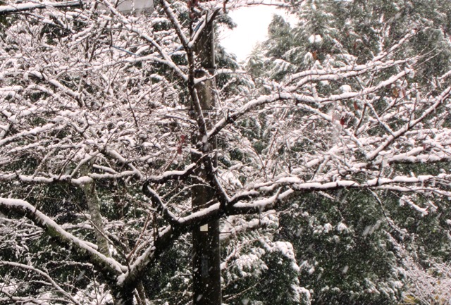 b0289649_21224323.jpg