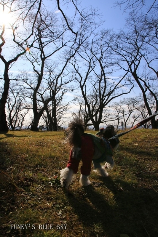 c0145250_09090334.jpg