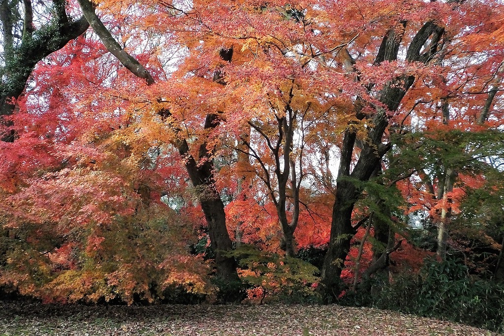 b0236251_11304826.jpg