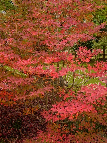 b0243152_20473352.jpg