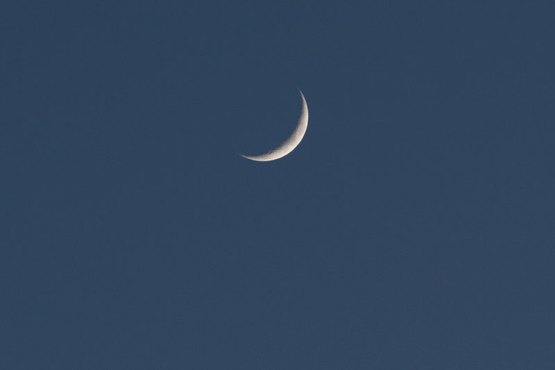 d0342652_1352760.jpg