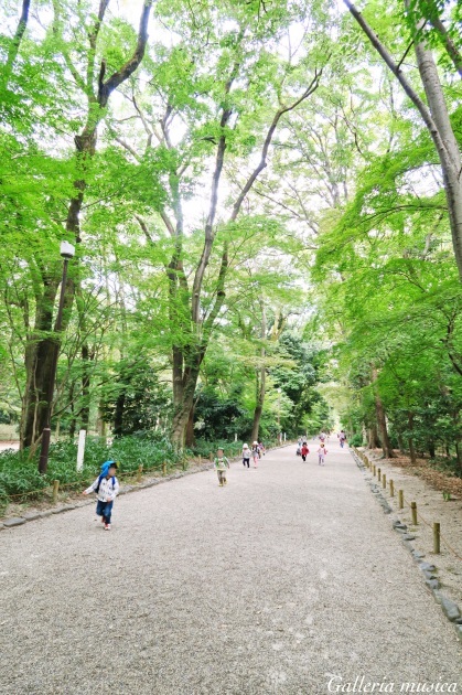 f0351853_19100046.jpg