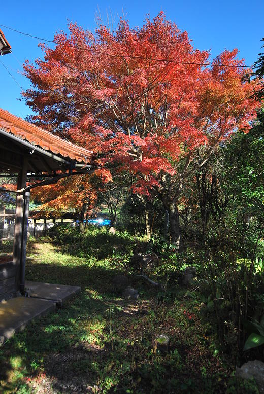 c0114063_22385570.jpg