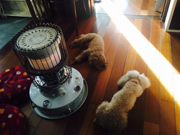 c0120363_14271131.jpeg