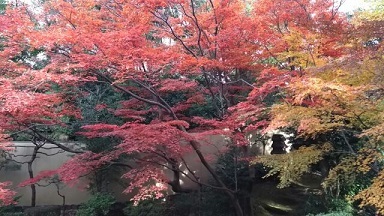 f0148563_13052250.jpg