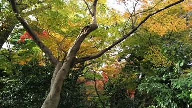 f0148563_13052540.jpg