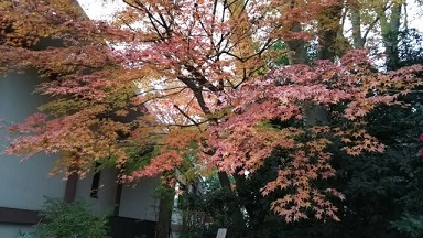 f0148563_13193115.jpg