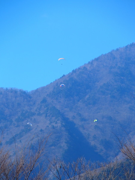 c0122670_20291752.jpg