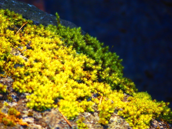 c0122670_21222718.jpg