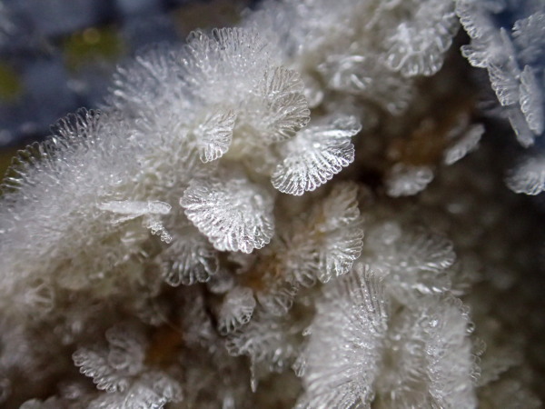 c0122670_21420547.jpg