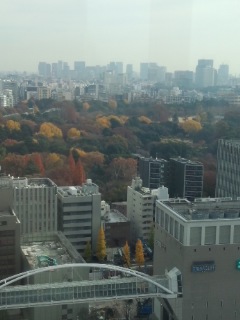 f0112873_001144.jpg