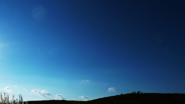 b0326576_20041956.jpg