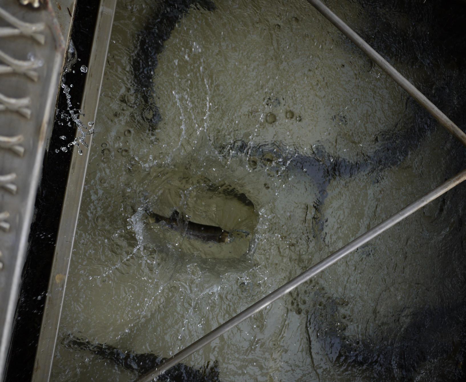 f0377679_19224473.jpg