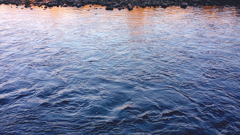 d0132880_225106.jpg