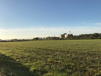e0100584_18452.jpg