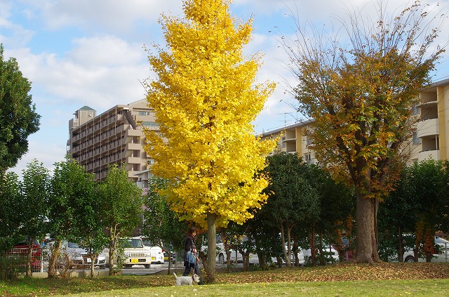 f0169884_14282088.jpg