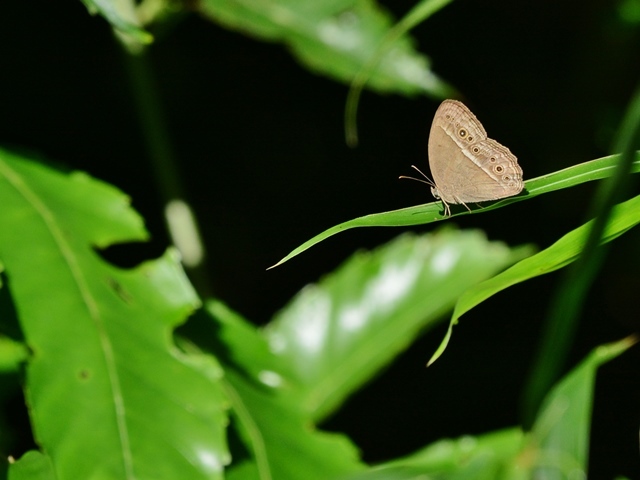 f0310988_19314610.jpg