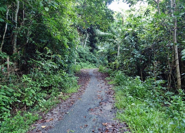 f0310988_19315767.jpg