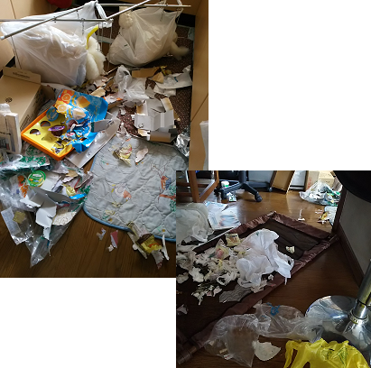 d0282395_12545057.png