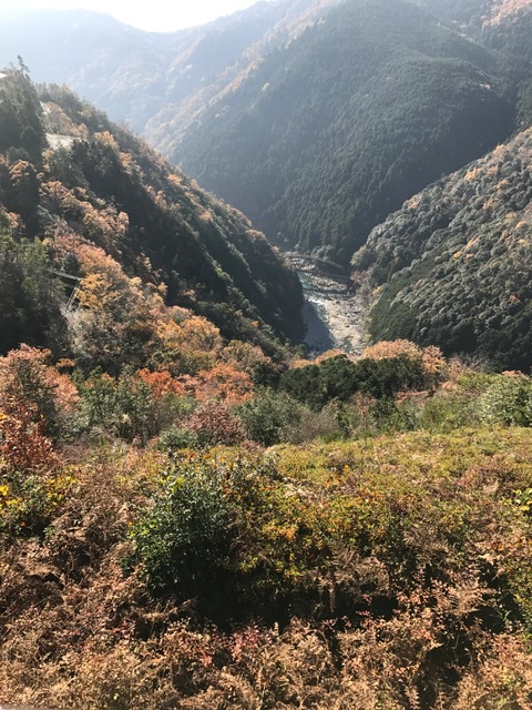 f0204295_11434078.jpg