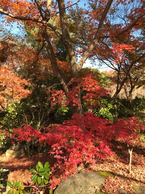 f0204295_11590864.jpg