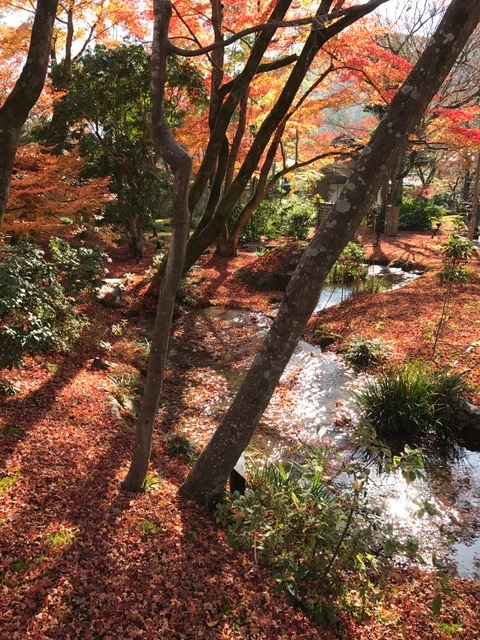 f0204295_12021171.jpg