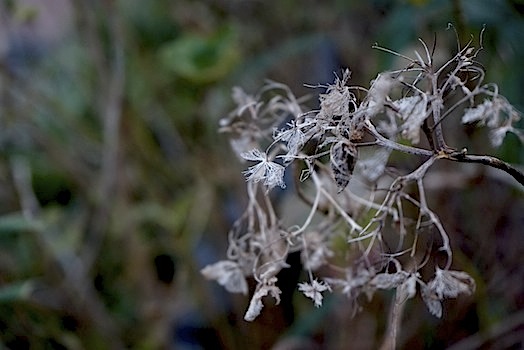 c0124998_19244629.jpg