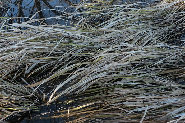f0224100_11265753.jpg