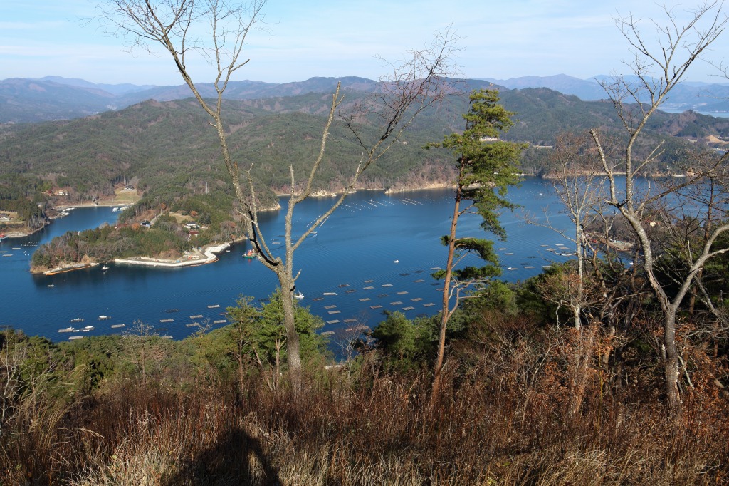 b0050305_20252871.jpg