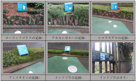 f0231709_14403378.png