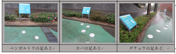 f0231709_14484415.png