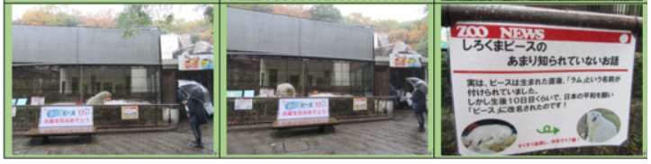 f0231709_3565488.png