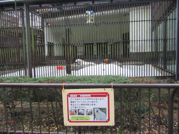 f0231709_359199.jpg