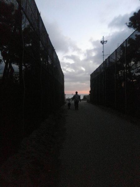 d0224111_21312686.jpg