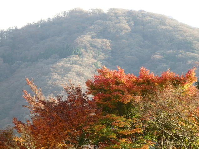 b0289815_8392241.jpg