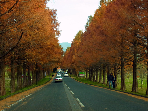 e0083517_00314385.jpg