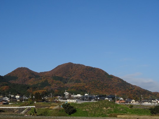 f0000521_5345845.jpg