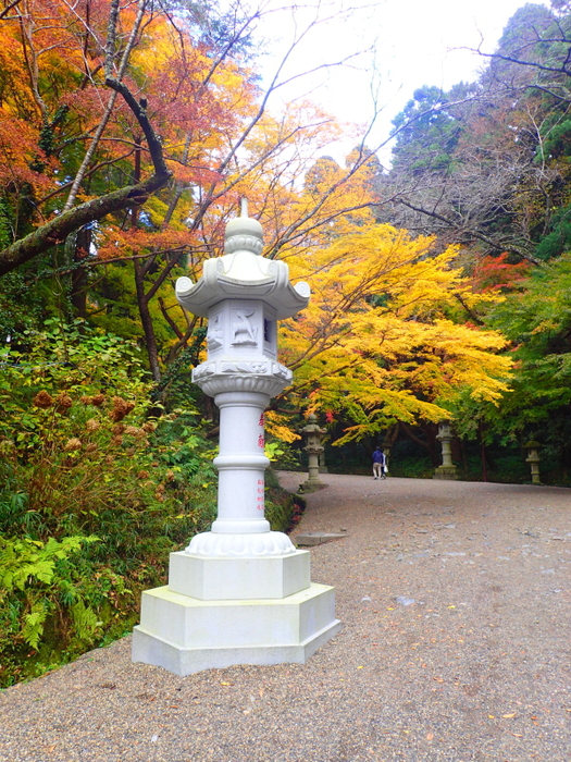 c0034029_4124961.jpg