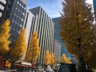 b0040332_20382287.jpg
