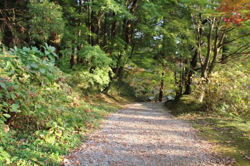 e0166032_09073430.jpg