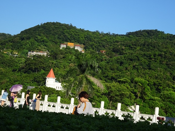 d0037233_13503120.jpg