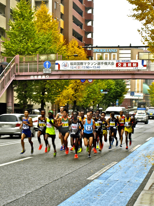 f0315034_12450236.jpg
