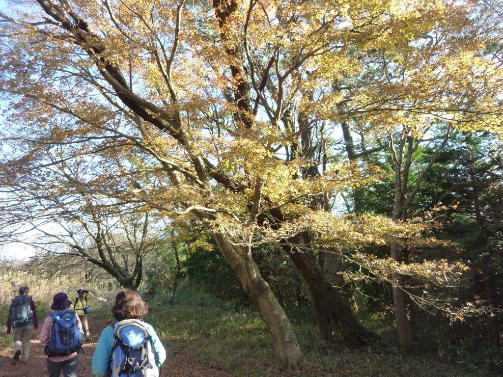 b0298935_14501770.jpg