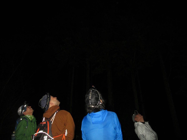 c0224737_21145035.jpg