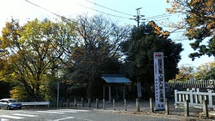 b0080342_23142165.jpg