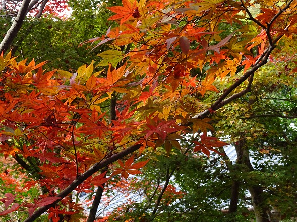 b0299042_9351192.jpg