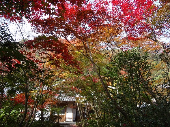 b0299042_9351868.jpg
