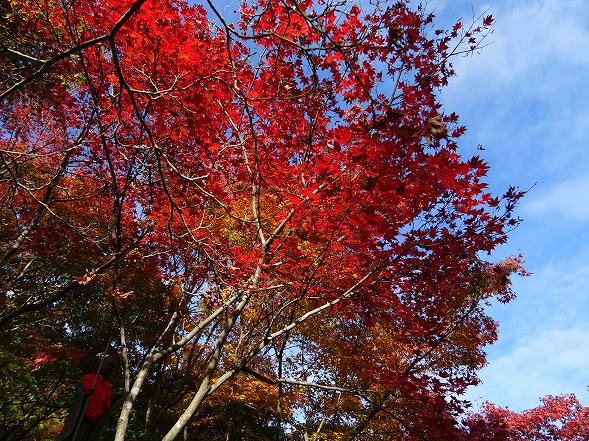b0299042_936106.jpg